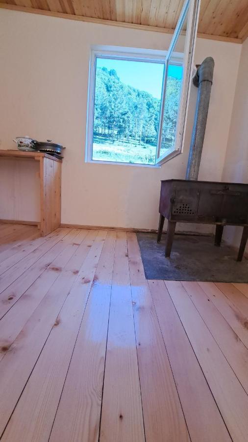 Guesthouse Caucasus Местия Экстерьер фото